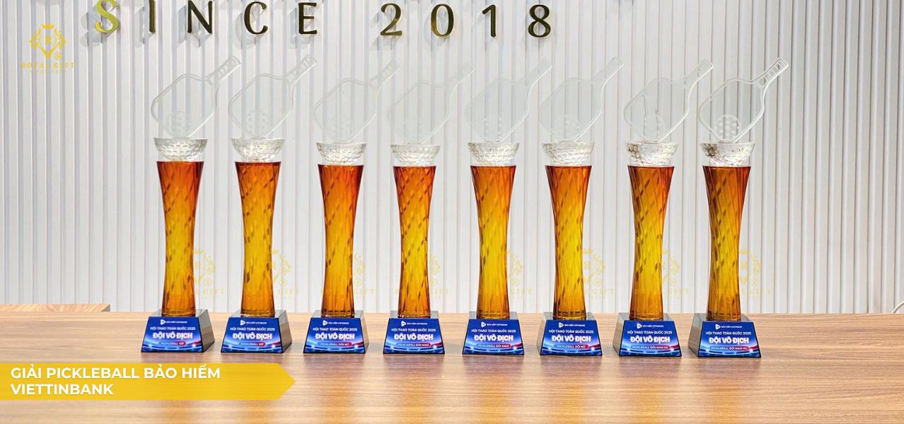 CUP GIẢI PICKLEBALL BẢO HIỂM VIETTINBANK
