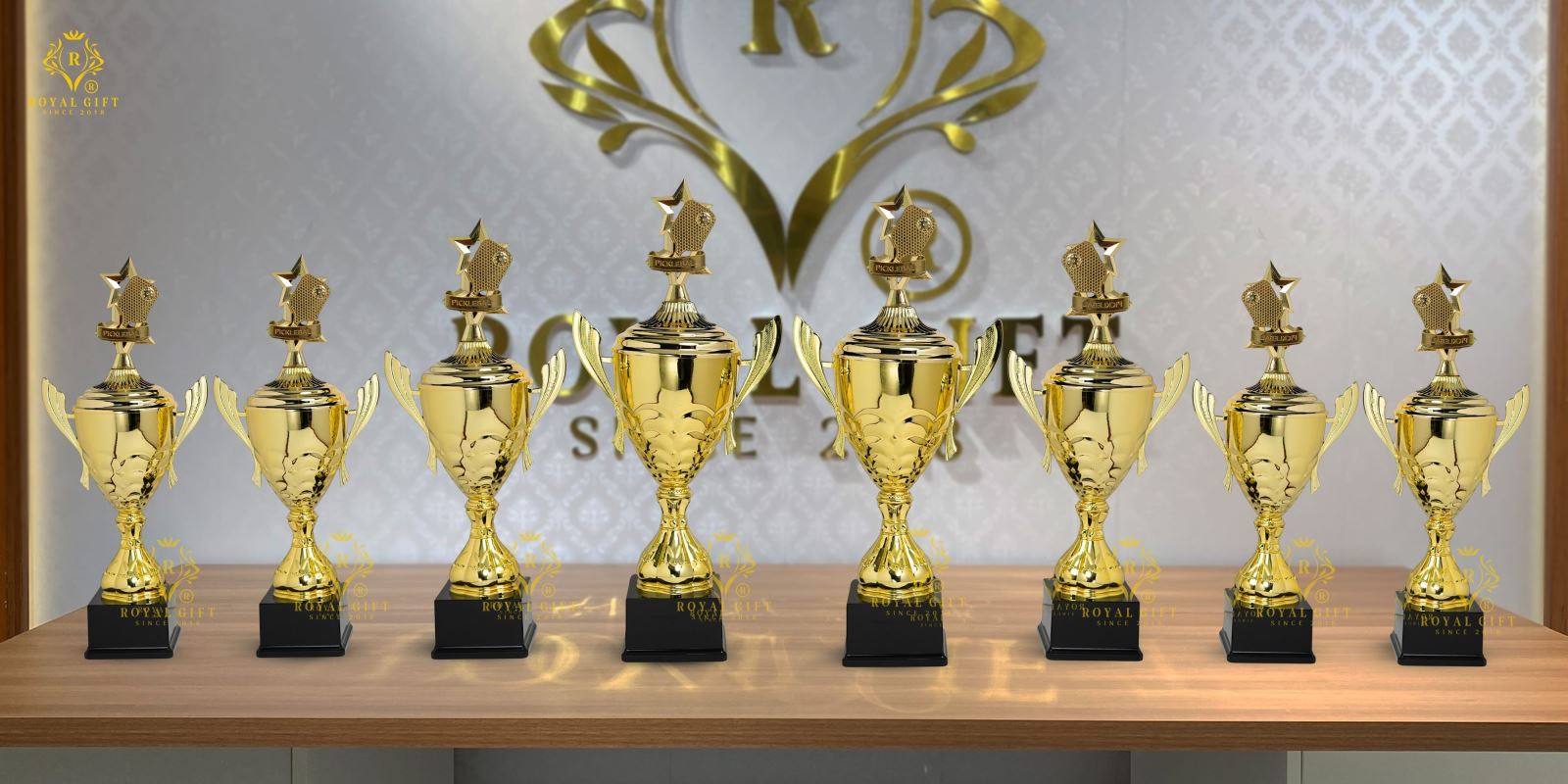 combo cúp pickleball nổi bật