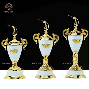 CUP KIM LOẠI CAO CẤP - HGC3DT