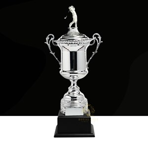 CÚP BEST GROSS KIM LOẠI MÀU BẠC RG - 1009 