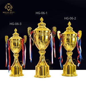 CUP KIM LOẠI THỂ THAO CAO CẤP - HG06
