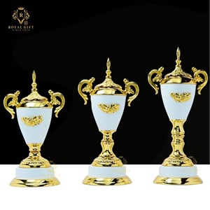 Cúp kim loại cao cấp HGC3DT