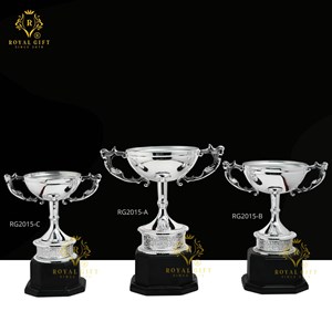 CUP KIM LOẠI CAO CẤP - RG - 2015