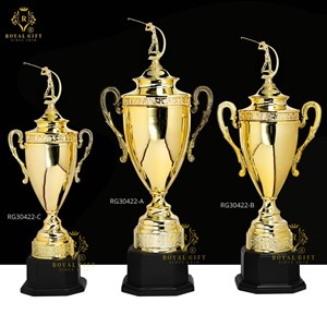 CUP KIM LOẠI CAO CẤP - RG 30422
