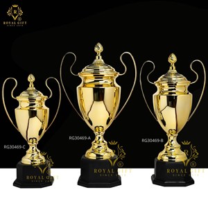 CUP KIM LOẠI CAO CẤP - RG - 30469