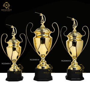 CUP KIM LOẠI CAO CẤP - RG - 30469 