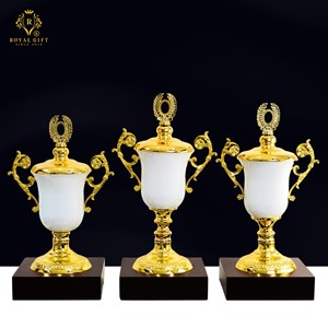 CUP KIM LOẠI CAO CẤP HG - 05 - 2