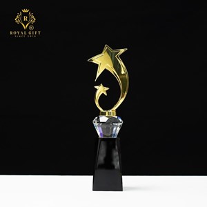 Cup Pha Lê Cao Cấp Mẫu Ngôi Sao - HGCM24