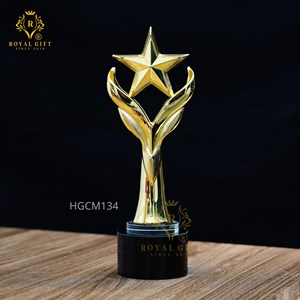 CUP THỂ THAO NGHỆ THUẬT CAO CẤP HGCM134