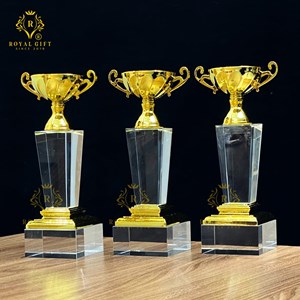  CUP PHA LÊ VINH DANH 