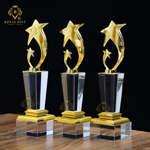 CUP PHA LÊ VINH DANH MẪU NGÔI SAO CAO CẤP 