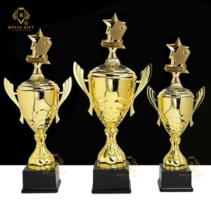 CUP THỂ THAO HOÀNG GIA KIM LOẠI CAO CẤP RG - 50006