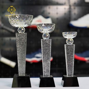 Cup thể thao Pickleball cao cấp - HGCM123