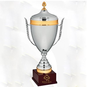 Cup kim loại cao cấp, mạ bóng-RG-93015